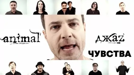 Animal ДжаZ — Чувства | 2019 год | клип [Official Video] HD