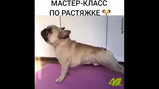 мастер класс