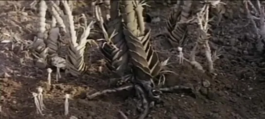 День Триффидов / The Day of the Triffids (1962)