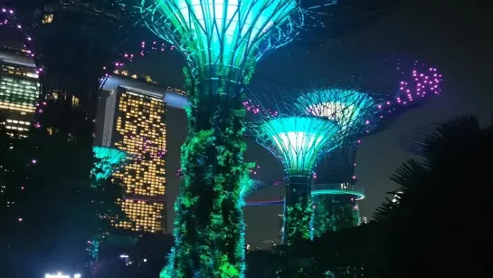 Сингапур. Garden by the Bay.