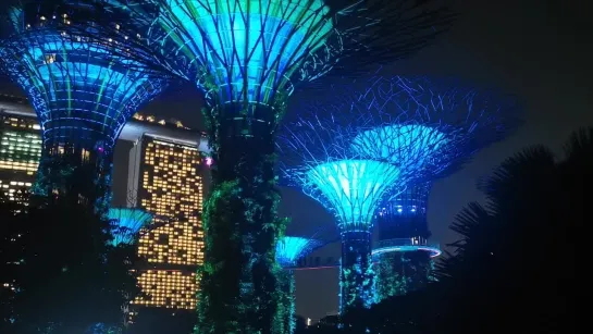 Сингапур. Gardens by the Bay.