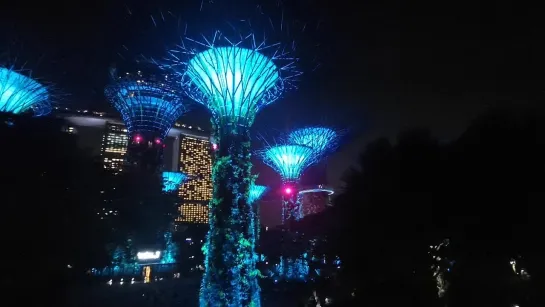 Сингапур. Gardens by the Bay.