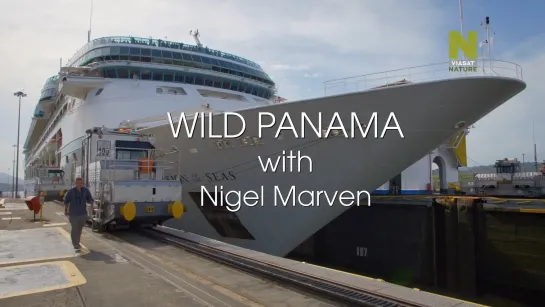 4 Дикая Панама/Wild Panama (Дикая Центральная Америка с Найджелом Марвеном/Nigel Marven's Wild Central America) (2018)