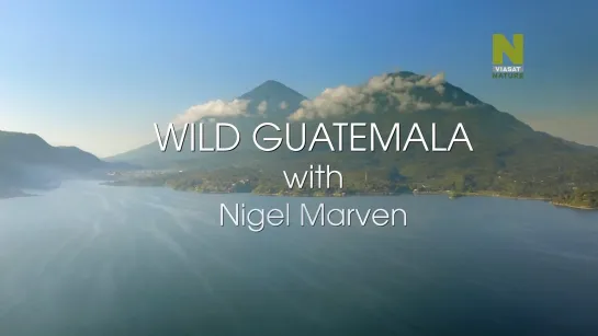 3 Дикая Гватемала/Wild Guatemala (Дикая Центральная Америка с Найджелом Марвеном/Nigel Marven's Wild Central America) (2018)