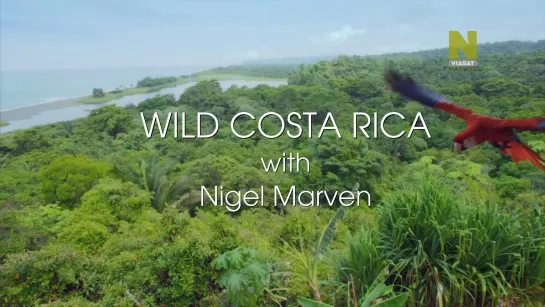 2 Дикая Коста-Рика/Wild Costa Rica (Дикая Центральная Америка с Найджелом Марвеном/Nigel Marven's Wild Central America) (2018)