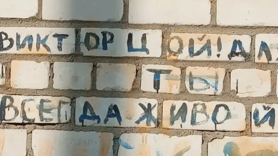 С.Пенкин Дождь осенний Тонкая рябина Ария Х Т.Буланова Бродяга🎵🎸А.Пушной✌Кукушка