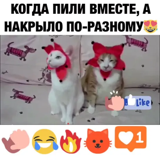 КОГДА ПИЛИ ВМЕСТЕ, А НАКРЫЛО ПО-РАЗНОМУ😂🤣