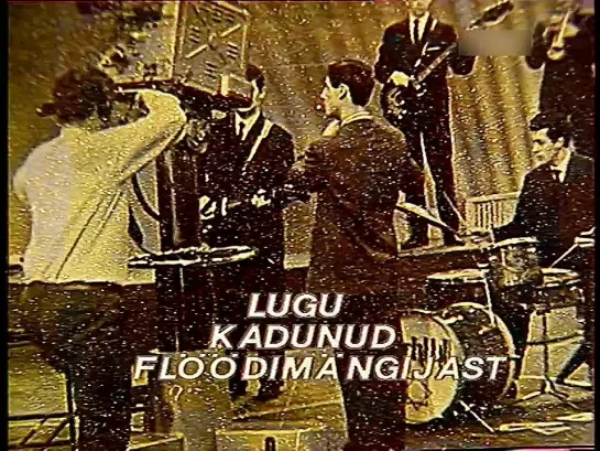 Lugu kadunud flöödimängijast (1987)