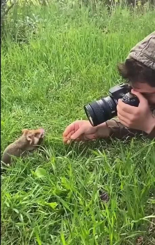 Самое прекрасное за сегодня