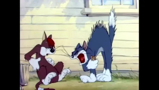 Tom and Jerry vs SOAD