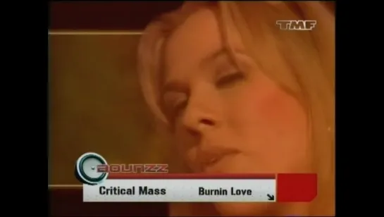 Critical Mass - Burnin Love 1996