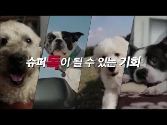 130829 Infinite KBS Super Dog teaser