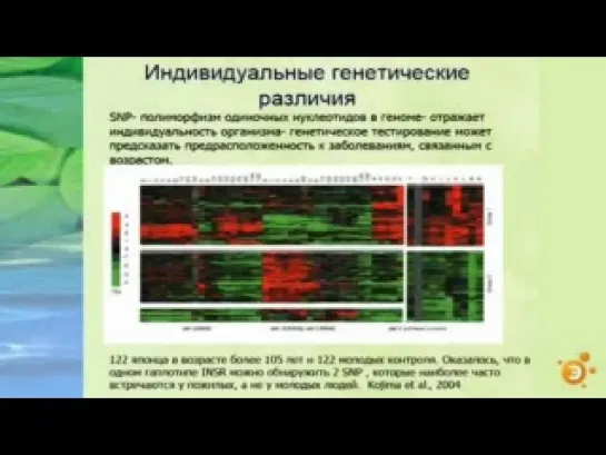 Сергей Киселев - Сможет ли человечество победить старость?