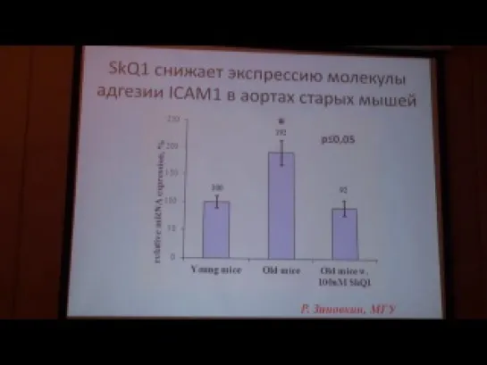 Зиновкин Р.А. Митохондрии и процесс воспаления