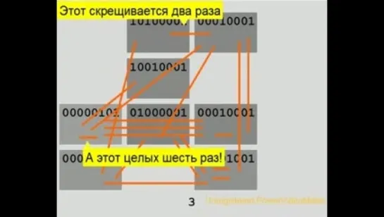 Как эволюция работает на самом деле