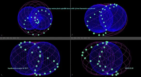 vesica piscis spindle torus harmonic wavefront extended