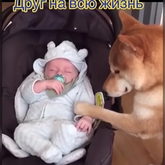 ВОТ ЭТО ВИДЕО!