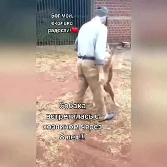 ВОТ ЭТО ВИДЕО!