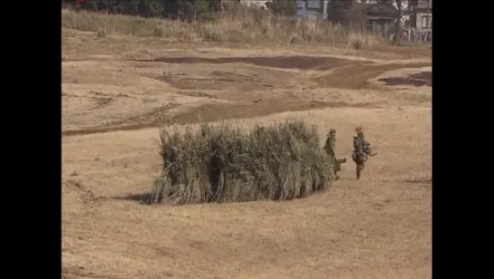 Японские боевые кусты