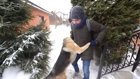 Навестил спустя несколько месяцев...