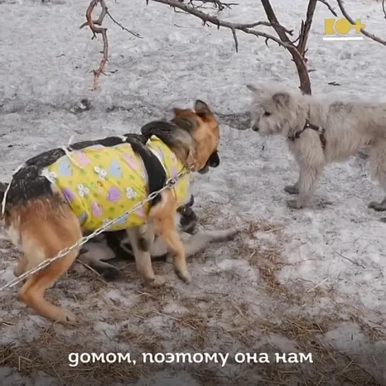 Жизнь Рады была похожа на ад.