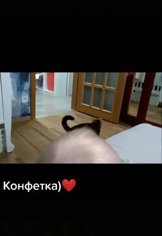 Заботливый кот!