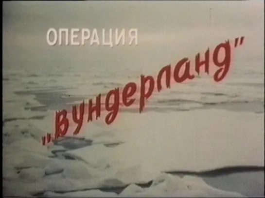 Операция «Вундерланд» (1989)