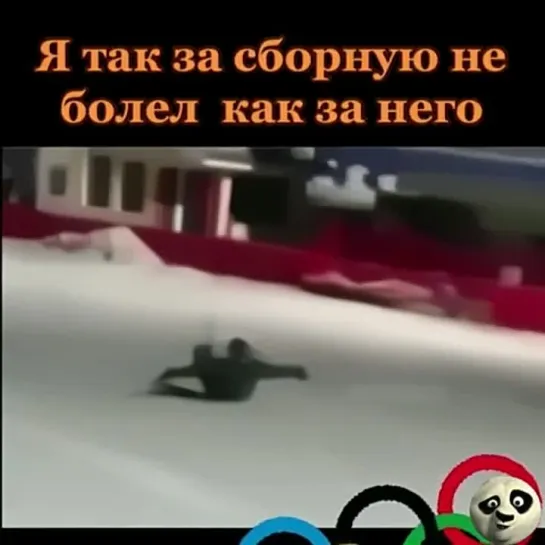 Видео от Забавные животные