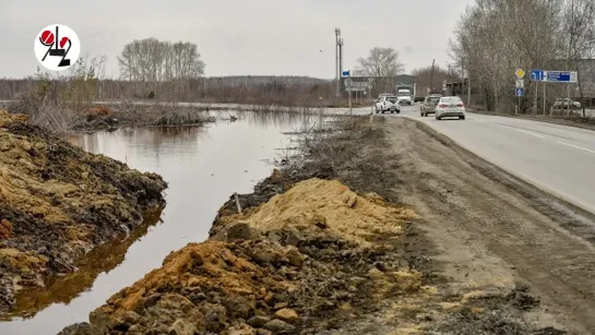 _Курицы по горло в воде стояли!_