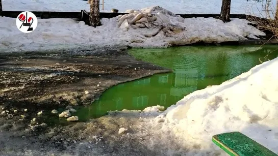 В Кушве даже лужи зелёные и кипяток... салатног