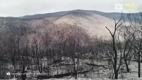 Посмотрите Как Выглядит 56 7°C Жара - Места с Экстремальными Климатом