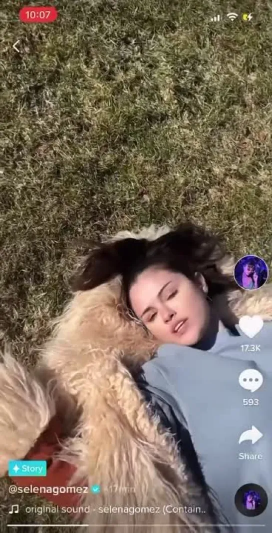 2022: Публикация в «TikTok Story» (3 мая)