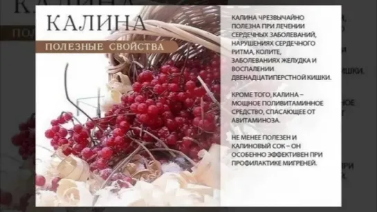 Полезные свойства фруктов