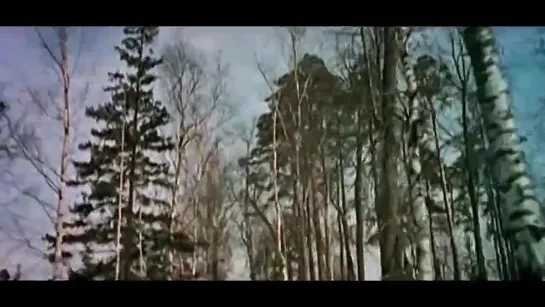 Видео(1)