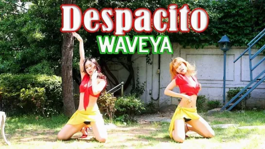 Luis Fonsi - Despacito ft Daddy Yankee Dance Waveya