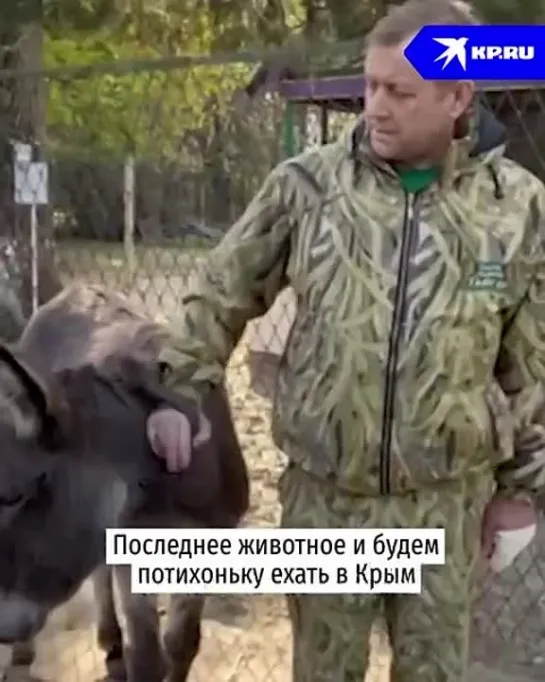 Видео от Военное Мнение