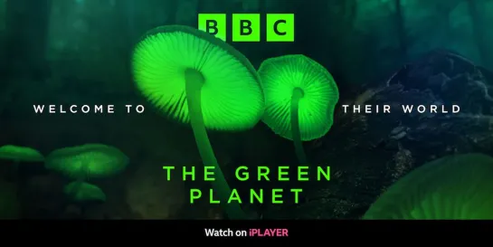 BBC. Зелёная планета 2022 г. - Документальный - 1 серия