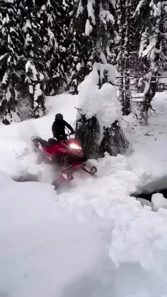 Видео от Каникулы Души