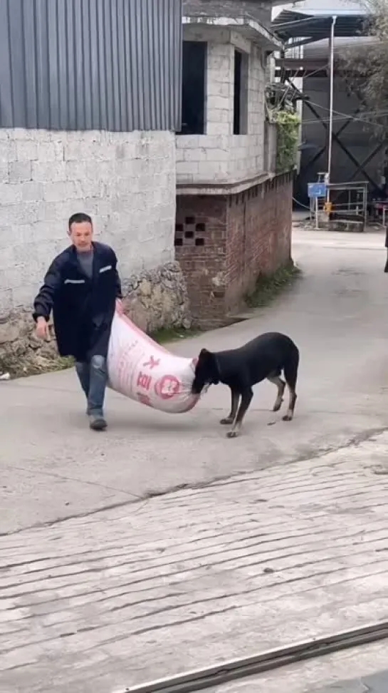 Видео от Pavel Pahanufa