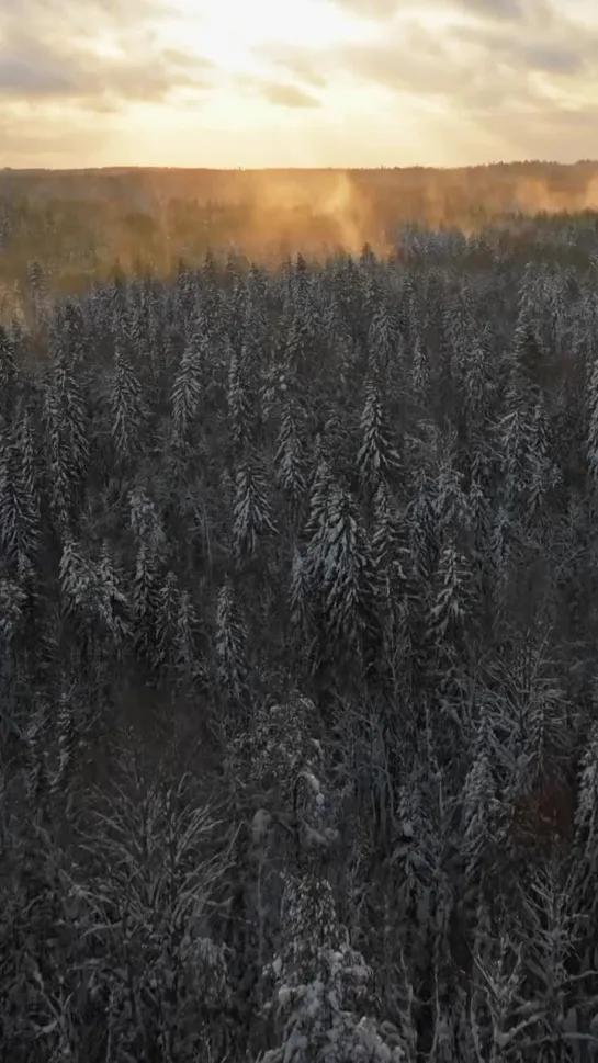 Видео от Pavel Pahanufa