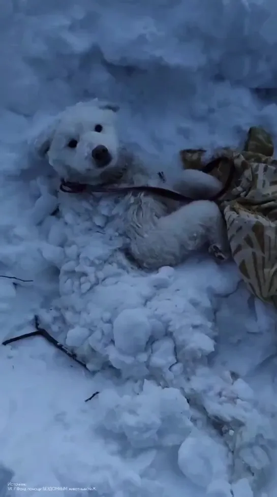 Видео от Pavel Pahanufa