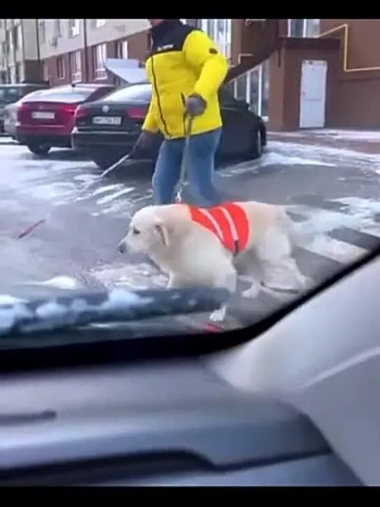 Видео от Pavel Pahanufa