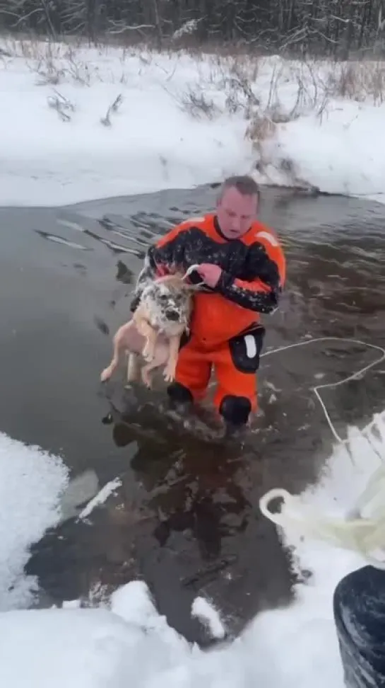 Видео от Pavel Pahanufa