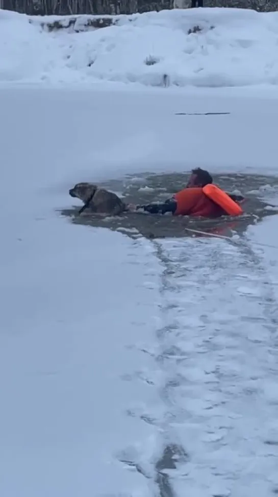 Видео от Pavel Pahanufa