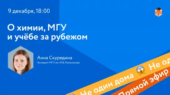 Химия, МГУ и учёба за рубежом: прямой эфир с Анной Скурединой/ Не один дома