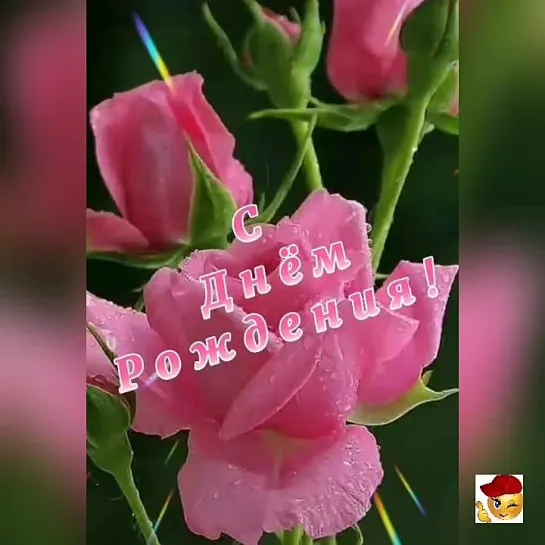 С Днём Рождения🌺