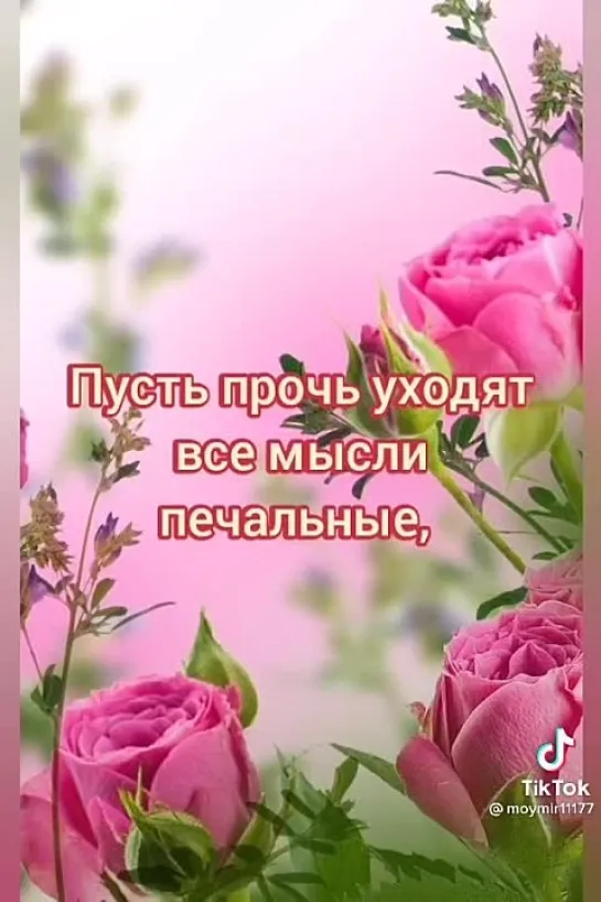 С Днём Рождения 🌹