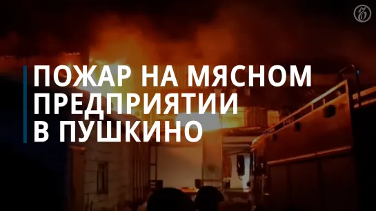 В подмосковном Пушкино горит здание мясного предприятия