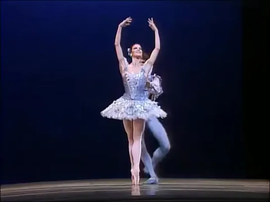 Sylvia Pas de Deux - Martine Van Hamel and Patrick Bissell (1984)