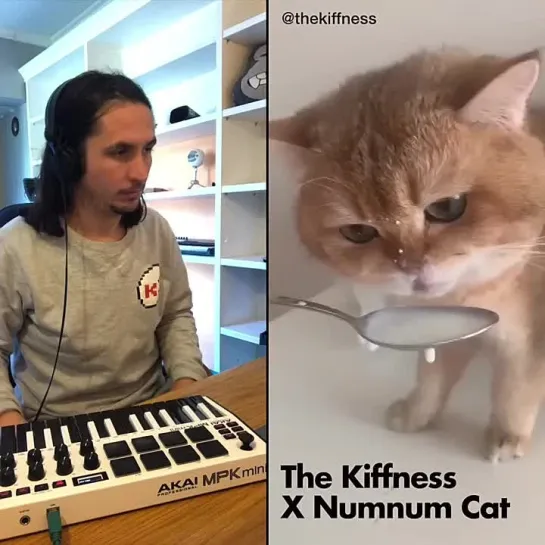 The Kiffness X NumNum Cat (Live Looping Balkan Remix)